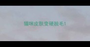 猫咪皮肤变硬脱毛