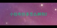 小拉布拉多怎么辨别
