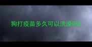 狗打疫苗多久可以洗澡吗