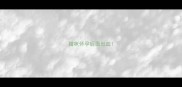猫咪怀孕后面出血
