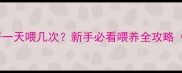 8个月哈士奇一天喂几次新手必看喂养全攻略附避坑指南