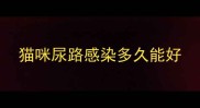 猫咪尿路感染多久能好