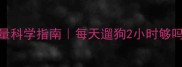拉布拉多成犬运动量科学指南每天遛狗2小时够吗附拆家预防全攻略