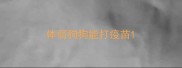 体弱狗狗能打疫苗