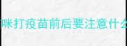 猫咪打疫苗前后要注意什么