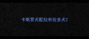 卡斯罗犬配拉布拉多犬