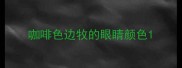 咖啡色边牧的眼睛颜色