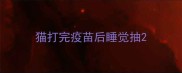 猫打完疫苗后睡觉抽
