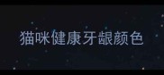 猫咪健康牙龈颜色
