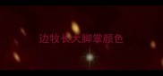 边牧长大脚掌颜色