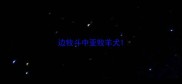 边牧斗中亚牧羊犬