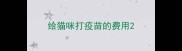 给猫咪打疫苗的费用
