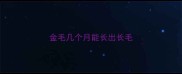 金毛几个月能长出长毛