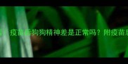 5天恢复期必看疫苗后狗狗精神差是正常吗附疫苗后护理全攻略
