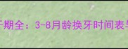 小型犬换牙期全3-8月龄换牙时间表与护理指南