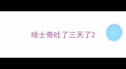 哈士奇吐了三天了