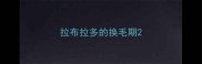 拉布拉多的换毛期