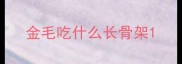 金毛吃什么长骨架