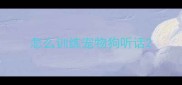 怎么训练宠物狗听话