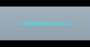 边牧配种苏格兰牧羊犬