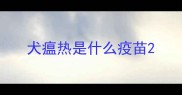 犬瘟热是什么疫苗