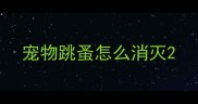 宠物跳蚤怎么消灭