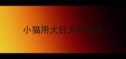 小猫用大狂犬疫苗吗