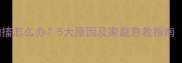 小狗突然全身僵硬抽搐怎么办5大原因及家庭急救指南附专业兽医建议