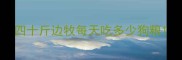 四十斤边牧每天吃多少狗粮