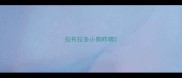 拉布拉多小狗咋喂