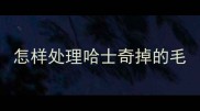 怎样处理哈士奇掉的毛