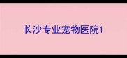 长沙专业宠物医院