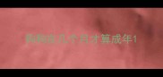 狗狗在几个月才算成年