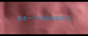 金毛一个月幼犬有多大