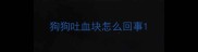 狗狗吐血块怎么回事