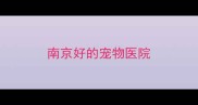 南京好的宠物医院