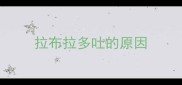 拉布拉多吐的原因