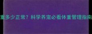 雪纳瑞5个月体重多少正常科学养宠必看体重管理指南附饲养细节