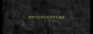 狗狗出生后打的是什么疫苗