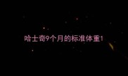 哈士奇9个月的标准体重