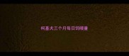 柯基犬三个月每日饲喂量