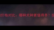 比格犬vs泰迪价格对比哪种犬种更值得养全养狗成本差异