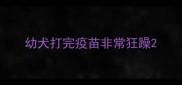 幼犬打完疫苗非常狂躁