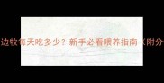 3个多月的边牧每天吃多少新手必看喂养指南附分龄喂食表
