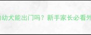 两个月大的幼犬能出门吗新手家长必看外出全攻略