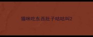 猫咪吃东西肚子咕咕叫