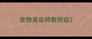 宠物美容师教师级