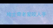 哈士奇老爱咬人手