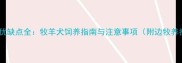 新手养边牧优缺点全牧羊犬饲养指南与注意事项附边牧养护全攻略