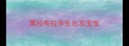 黑拉布拉多生出灰宝宝